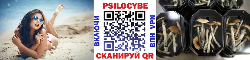 блэк спрут онион  Гагарин  Псилоцибиновые грибы мухоморы 